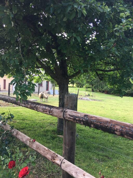 Gite De La Poupardiere, Maison De Campagne En Bordure De Riviere - 2 Nuits Minimum Villa Les Cresnays Екстериор снимка